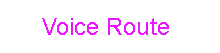 Voice Voice